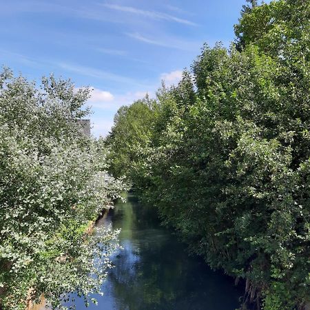 Le Domaine Des Anges Guest House Wavrans-sur-l'Aa Bagian luar foto