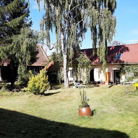 Le Domaine Des Anges Guest House Wavrans-sur-l'Aa Bagian luar foto