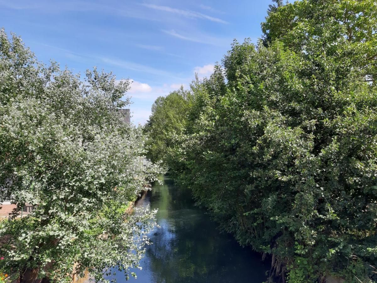 Le Domaine Des Anges Guest House Wavrans-sur-l'Aa Bagian luar foto