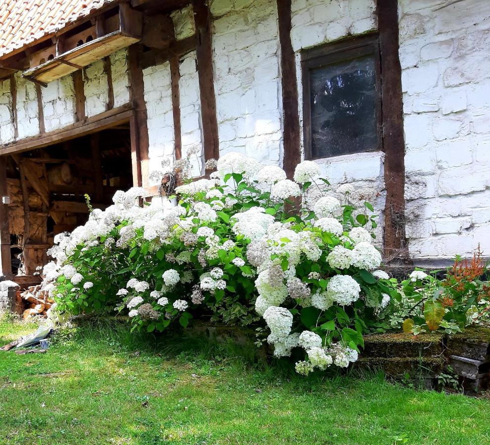 Le Domaine Des Anges Guest House Wavrans-sur-l'Aa Bagian luar foto