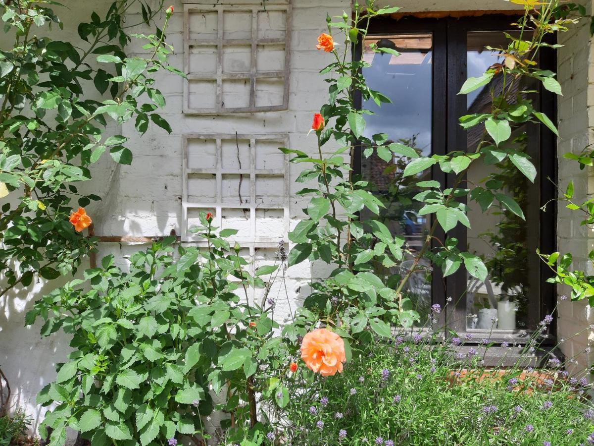 Le Domaine Des Anges Guest House Wavrans-sur-l'Aa Bagian luar foto